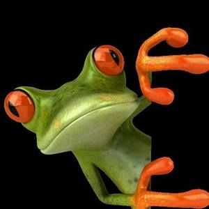 Meet your Posher, Marlene